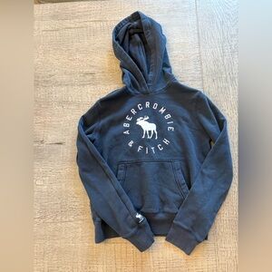 Abercrombie Kids Navy Hoodie